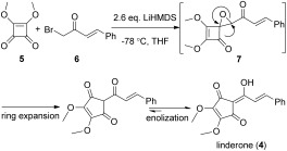 Scheme 2