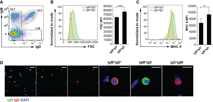 Figure 3