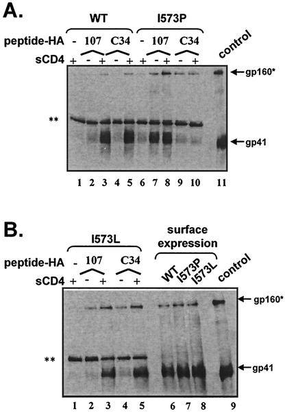 FIG. 5.