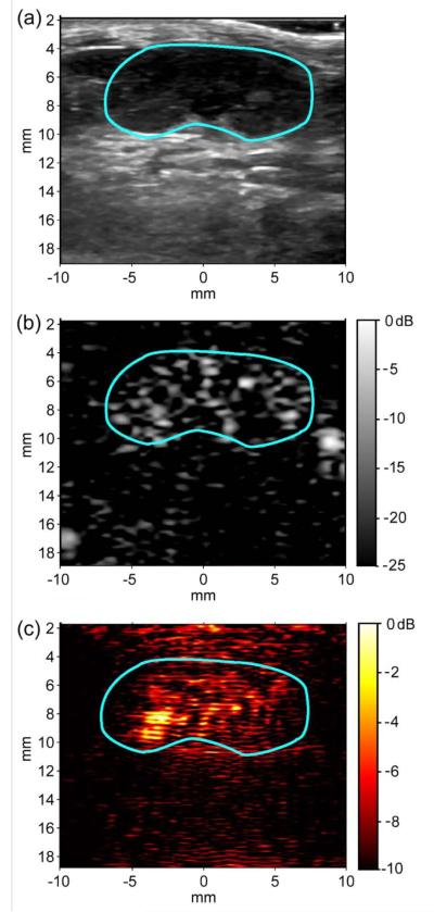 Figure 7