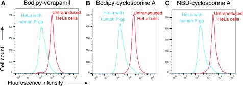 Fig. 4.