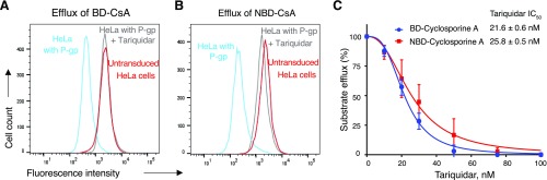 Fig. 6.