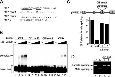 FIG. 6.