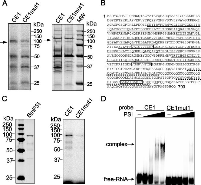 FIG. 7.