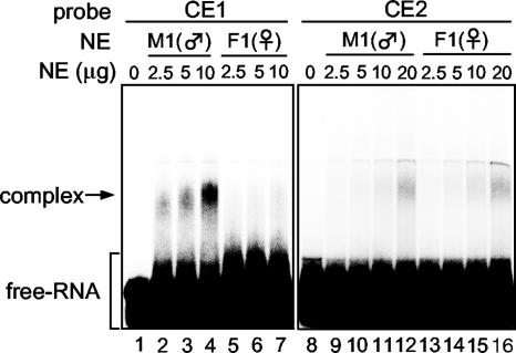 FIG. 5.