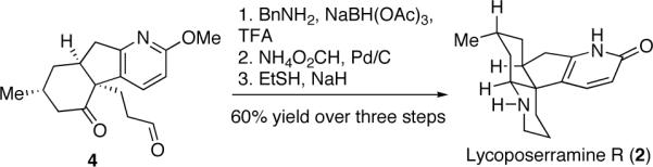 Scheme 5