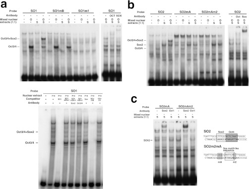 FIGURE 2.