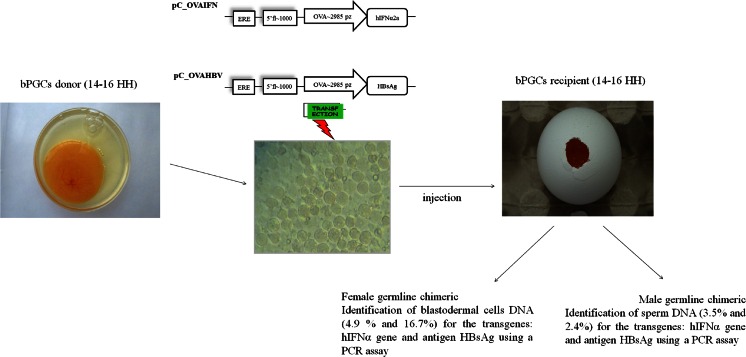 Fig. 11