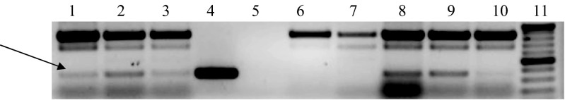 Fig. 10