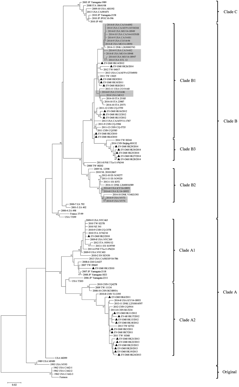 Figure 2