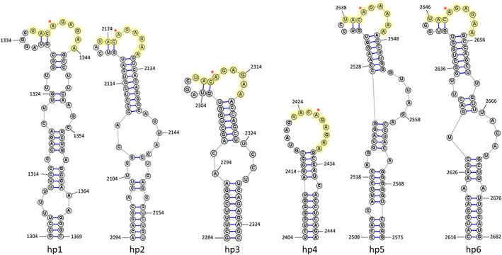 FIGURE 4