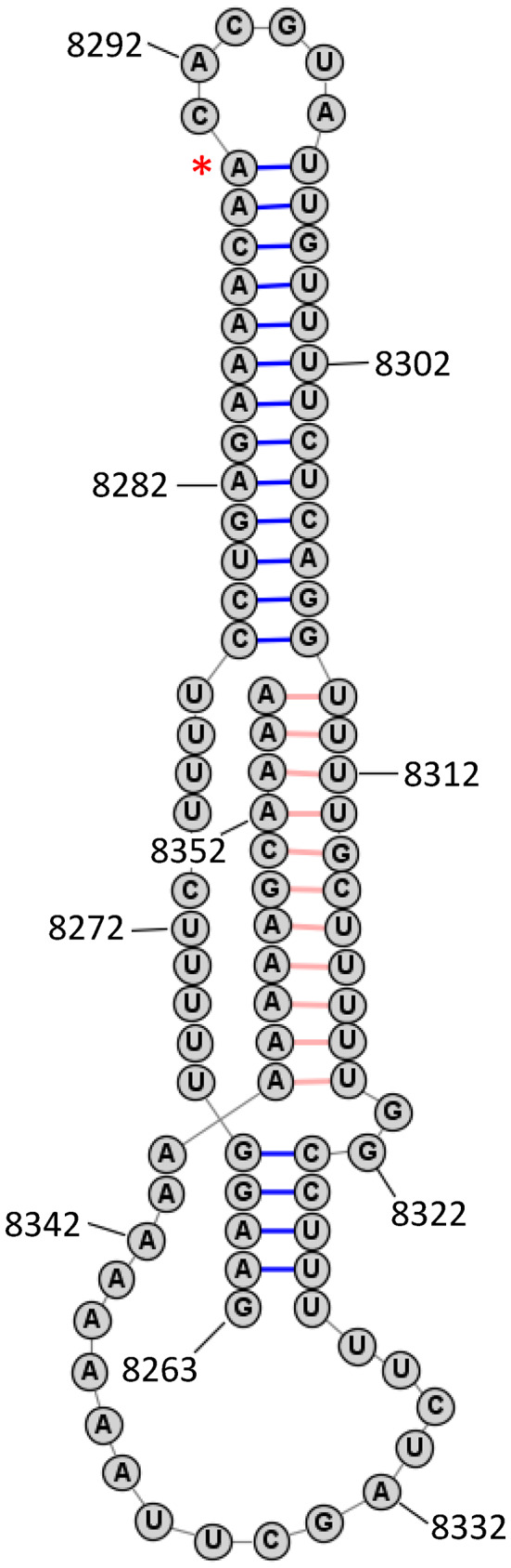 FIGURE 3