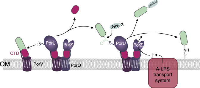 Fig. 4.