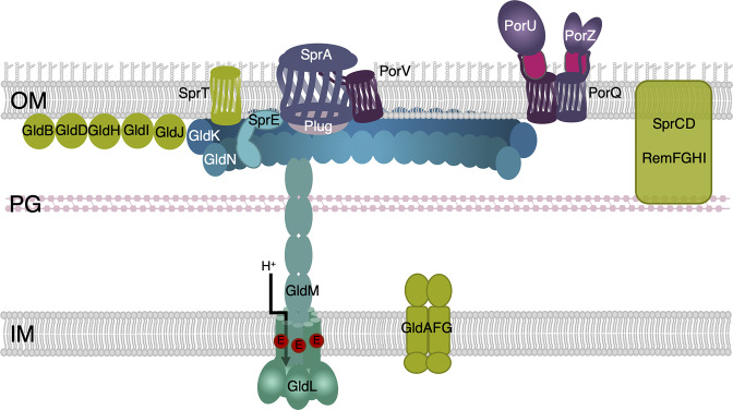 Fig. 1.