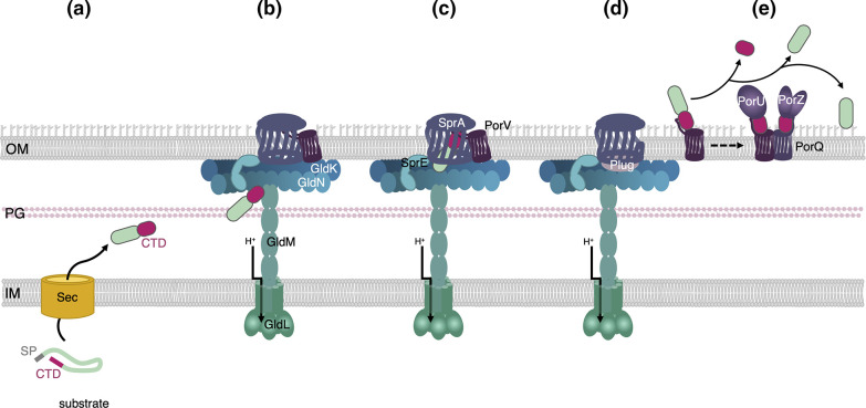 Fig. 2.