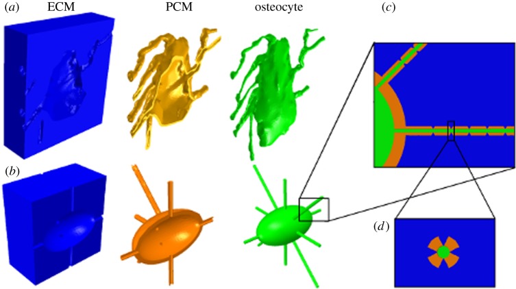 Figure 2.