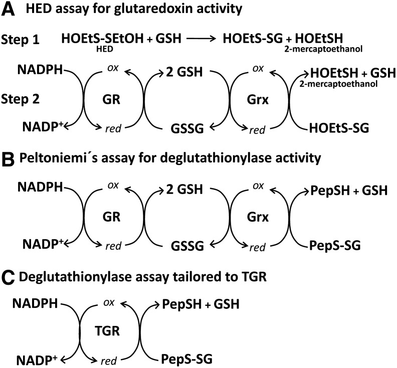 FIG. 6.