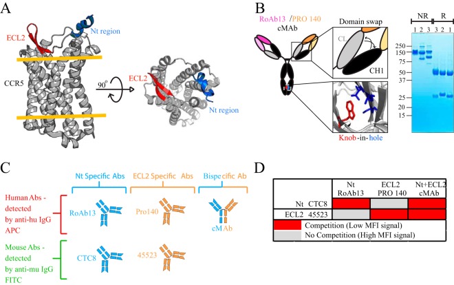 FIG 6