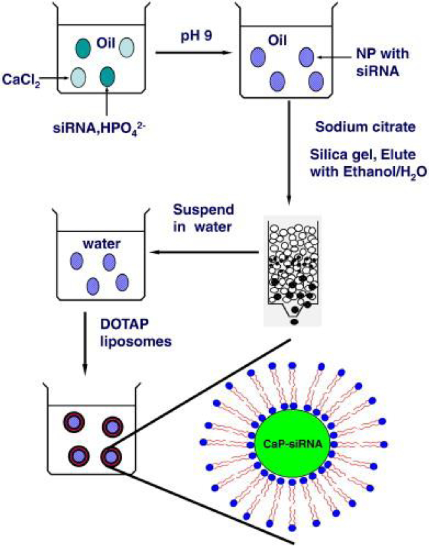 Figure 11.