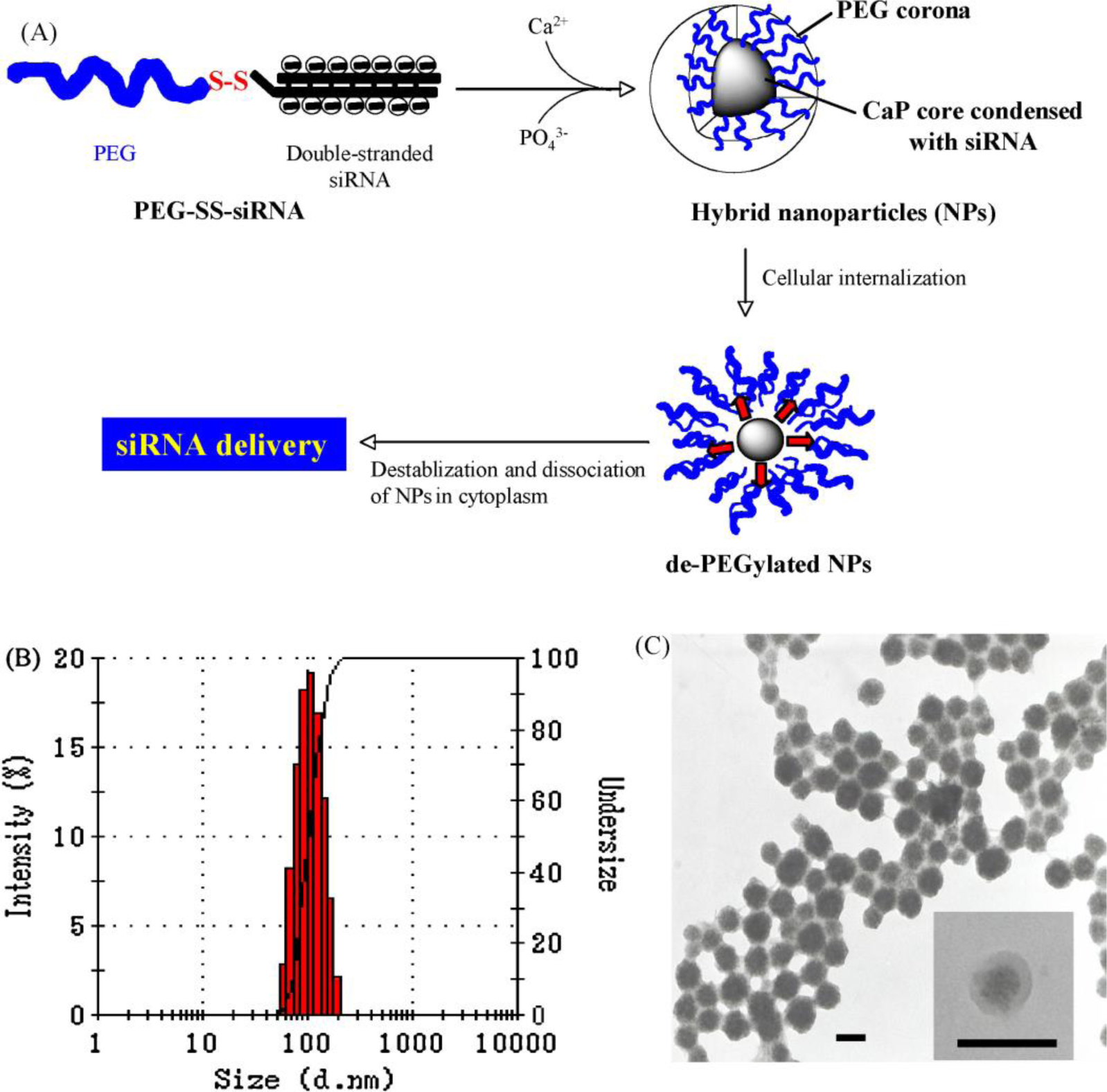 Figure 12.