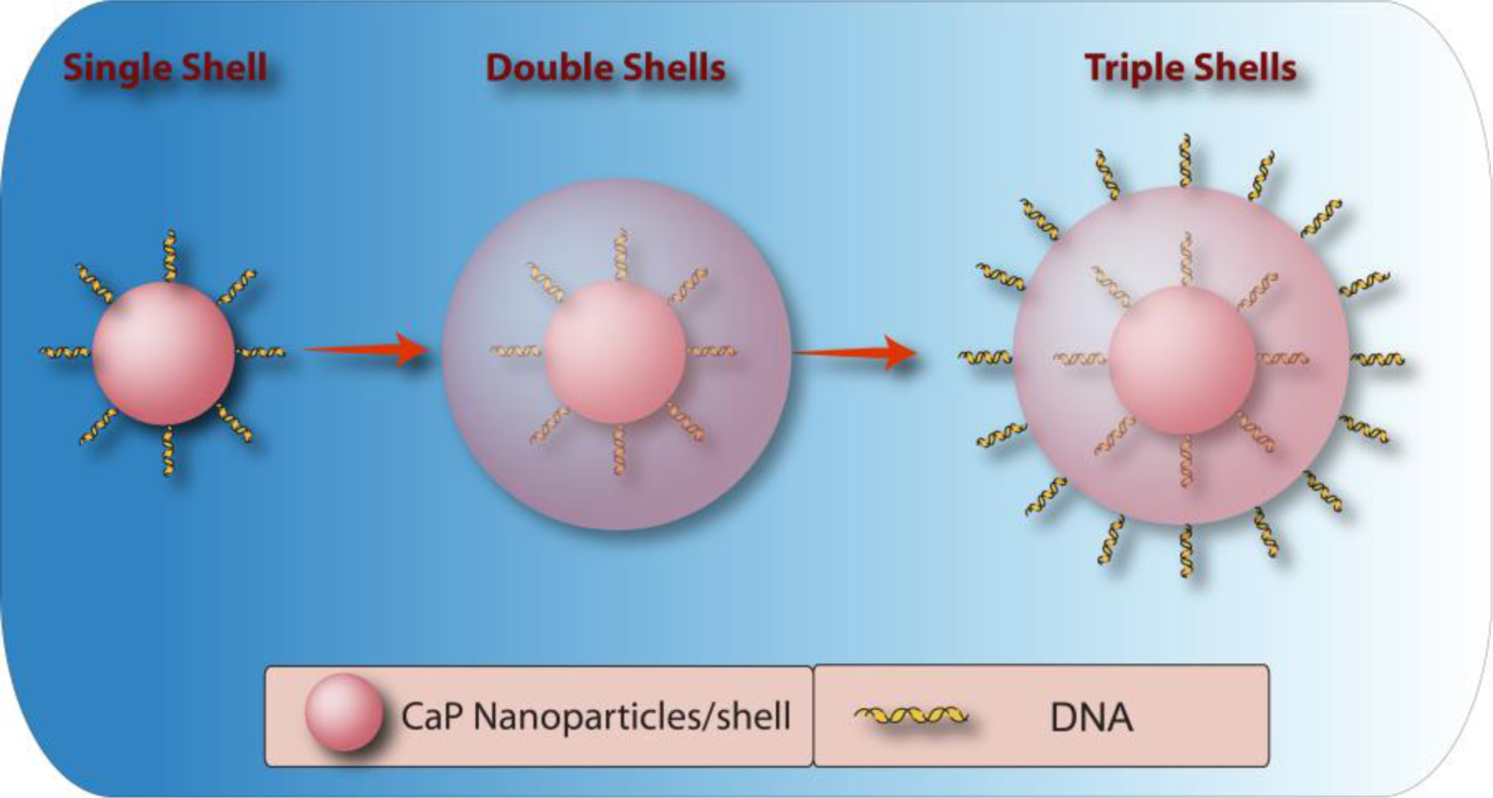 Figure 10.