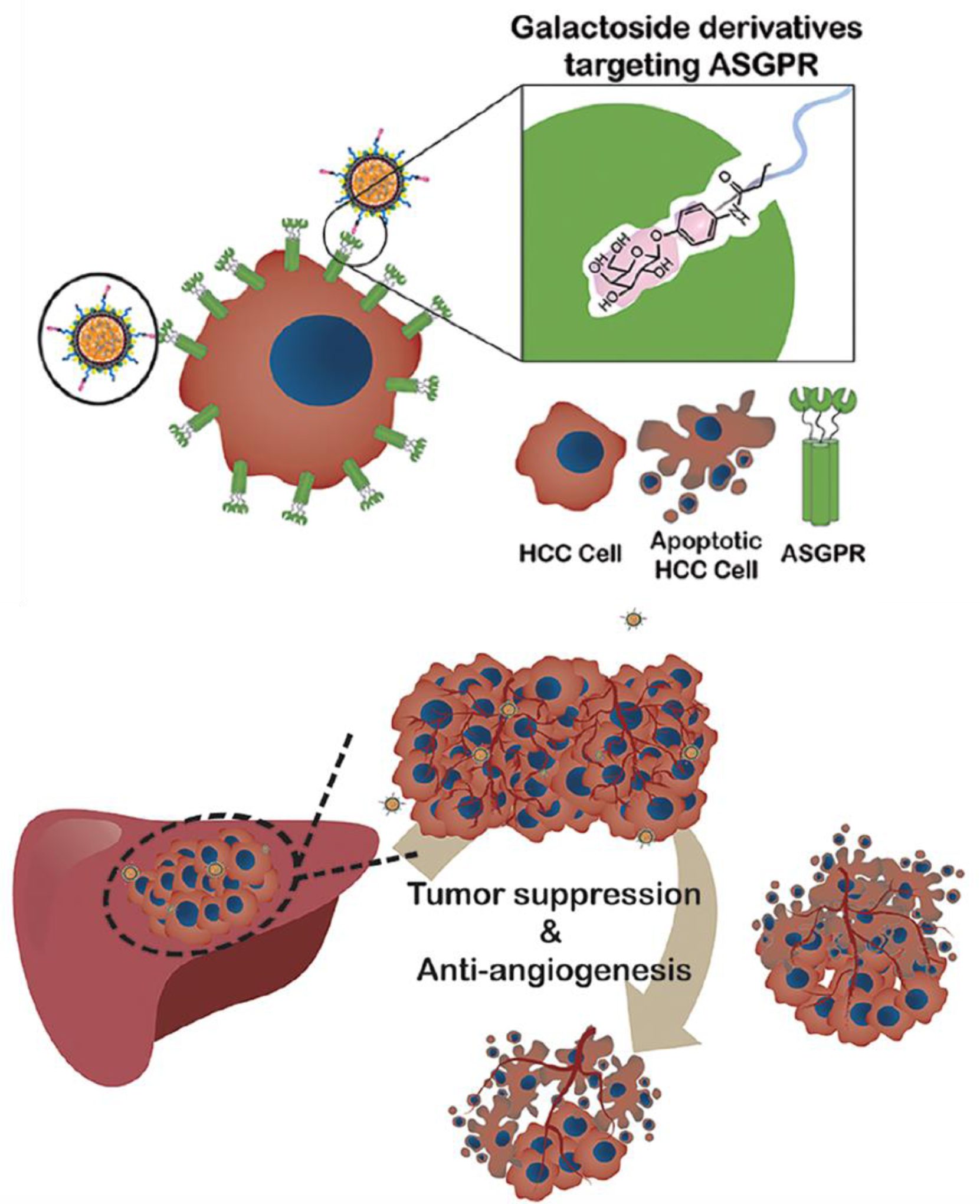 Figure 13.