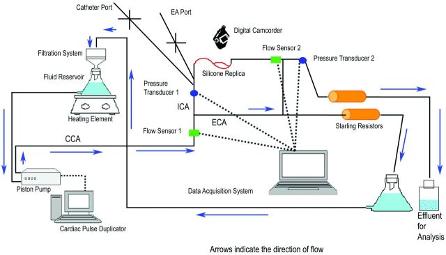 Fig 1.