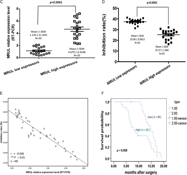 FIG 2