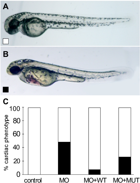 Figure  5. 