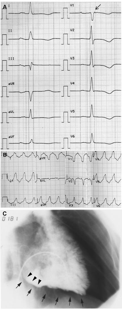 Figure  2. 