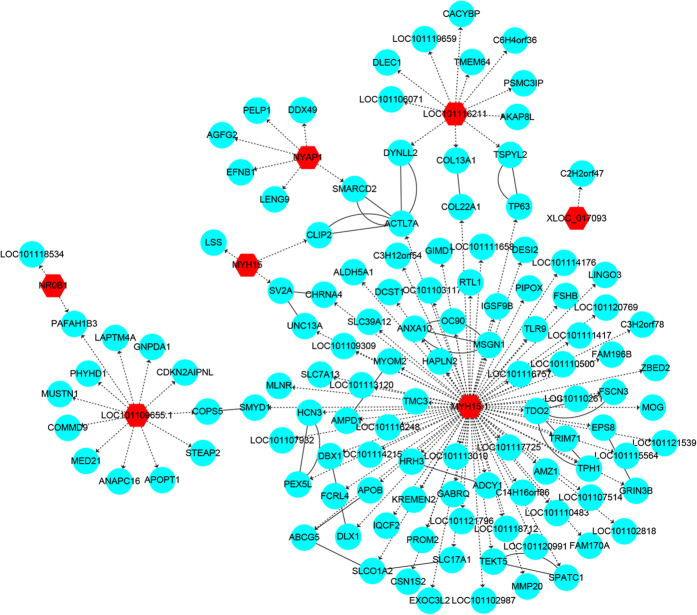 Figure 7