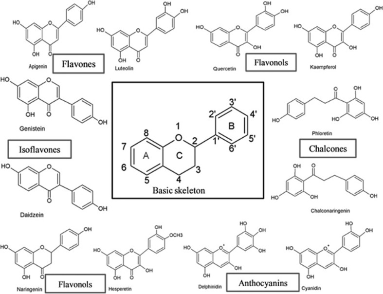 Figure 1