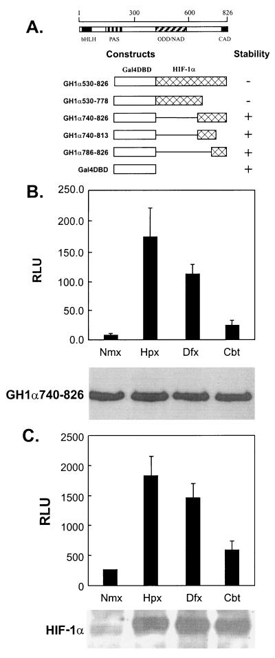 FIG. 1.