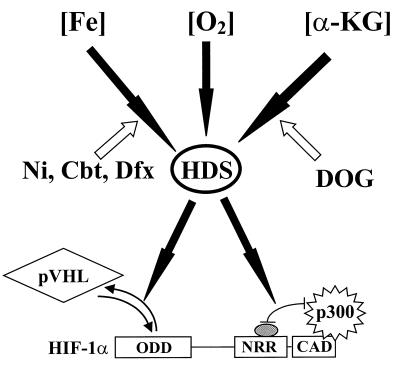 FIG. 9.