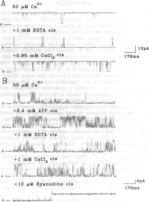 graphic file with name pnas01130-0428-b.jpg