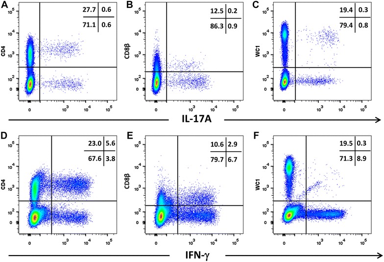 Figure 5