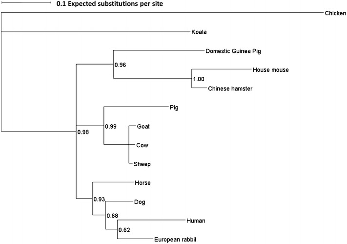 Figure 1