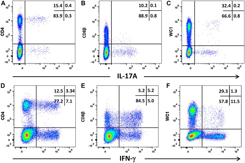 Figure 6