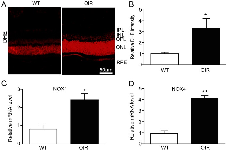 Figure 3.