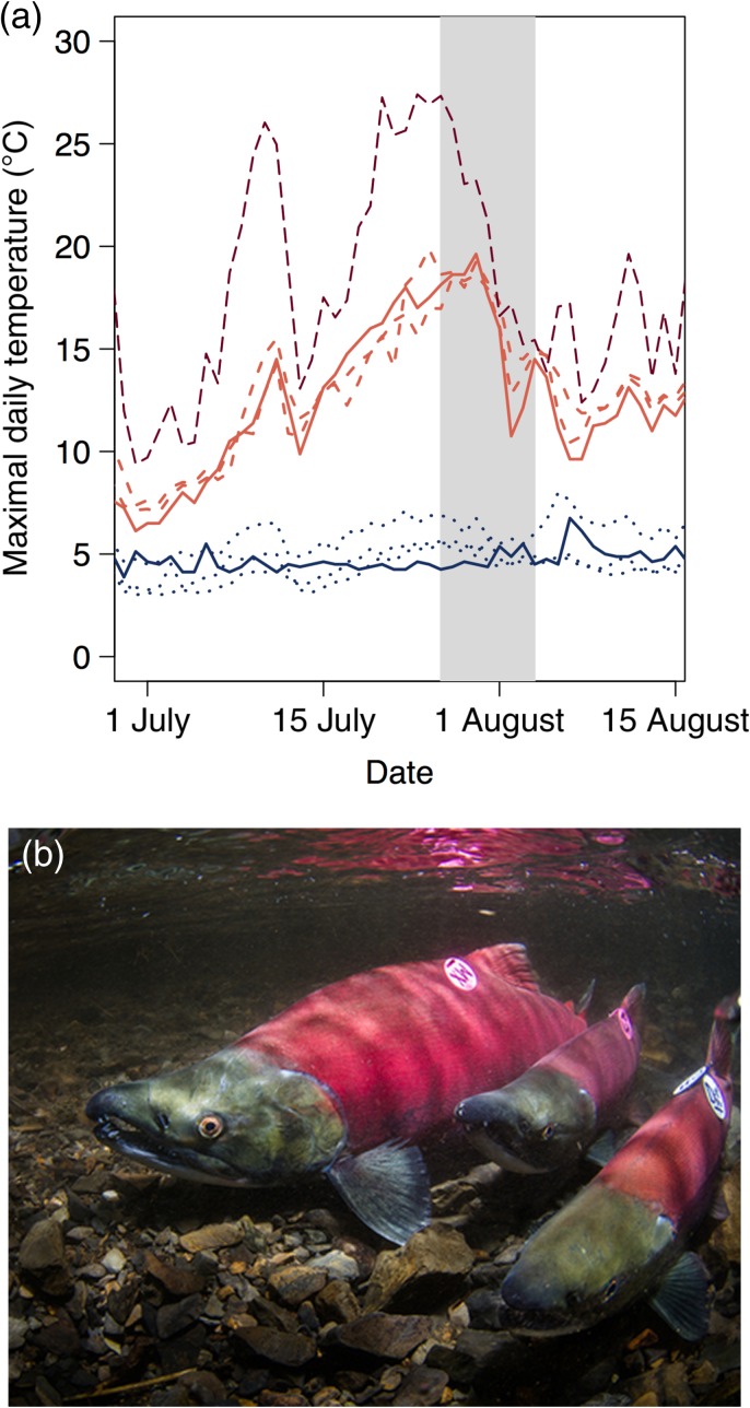 Figure 3: