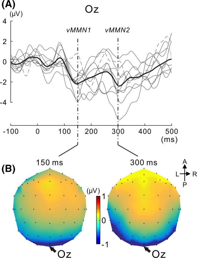 Fig. 4