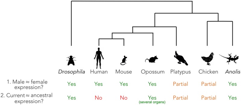 Figure 7.