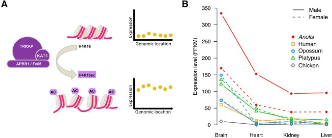 Figure 4.