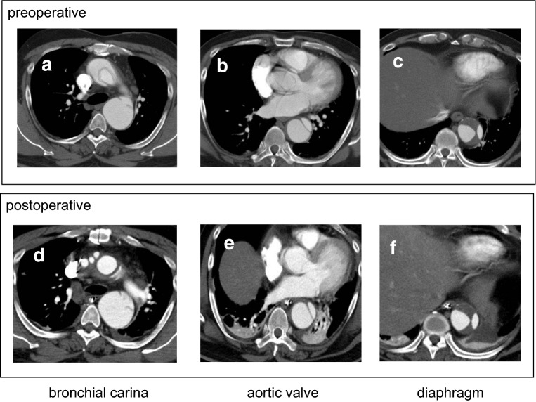 Fig. 4