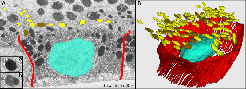 Figure 2.