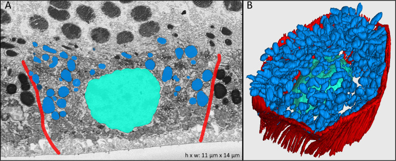 Figure 3.