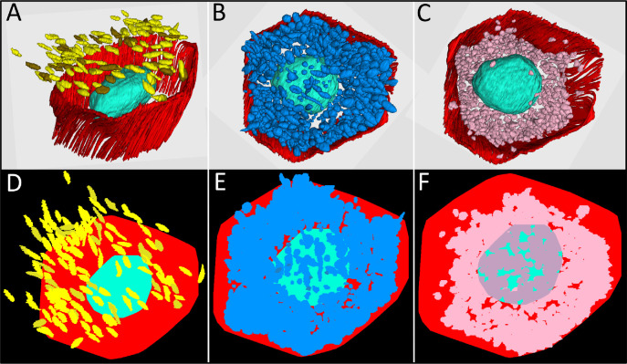 Figure 6.