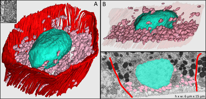 Figure 4.