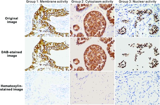 Fig. 7