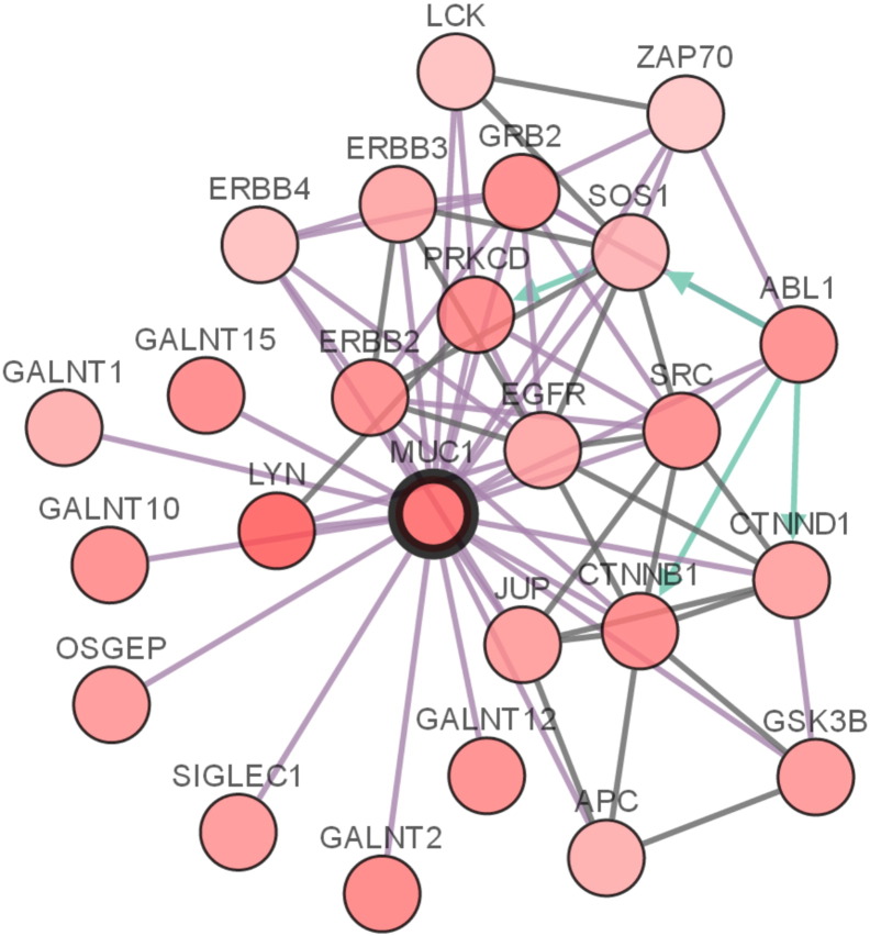 Supplementary Figure 3